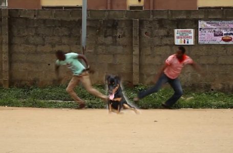 BEWARE OF MONEY RITUAL (Episode 3) New Nollywood/Ghallywood Film 2017