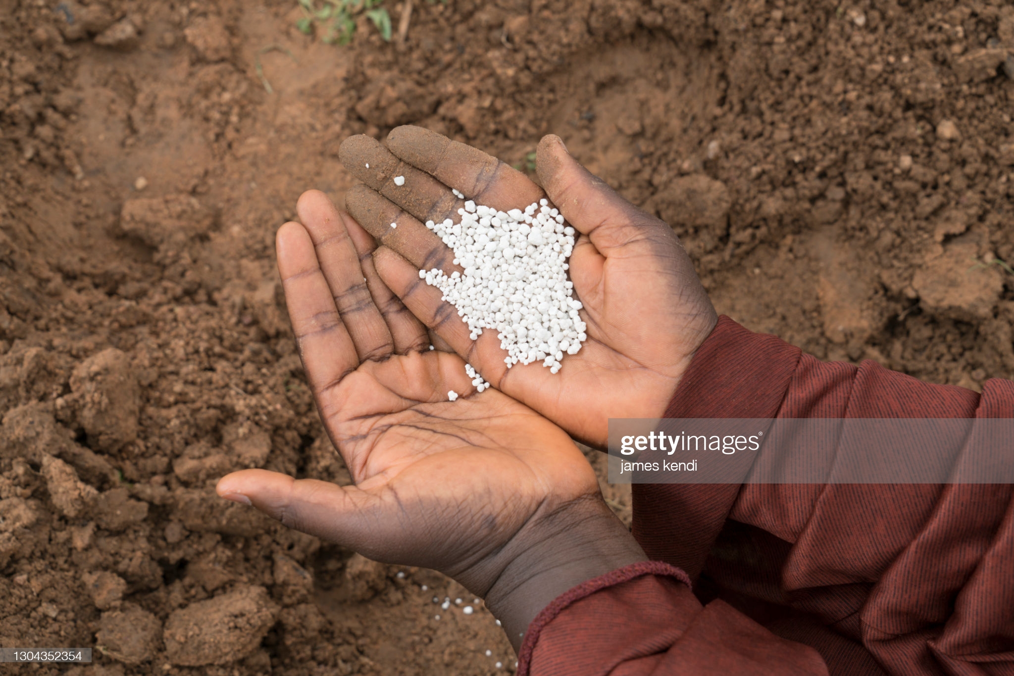 The Subsequent Wave: Can agriculture salvage Nigerians out of poverty?