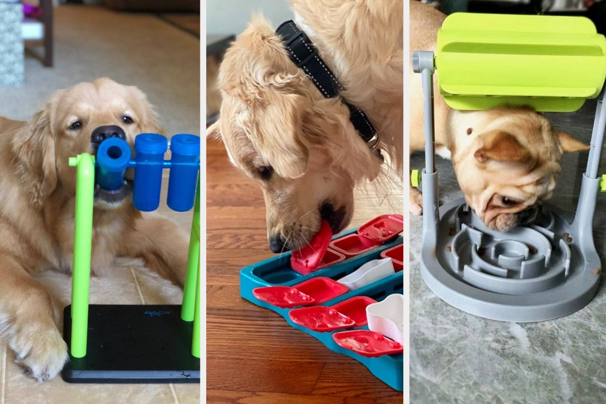 21 Dogs Puzzle Toys To Lift Your Dogs Who Is Of A Increased ~Intellectual Caliber~