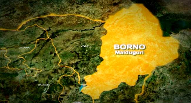 Terrorists attack sanatorium, college in Borno