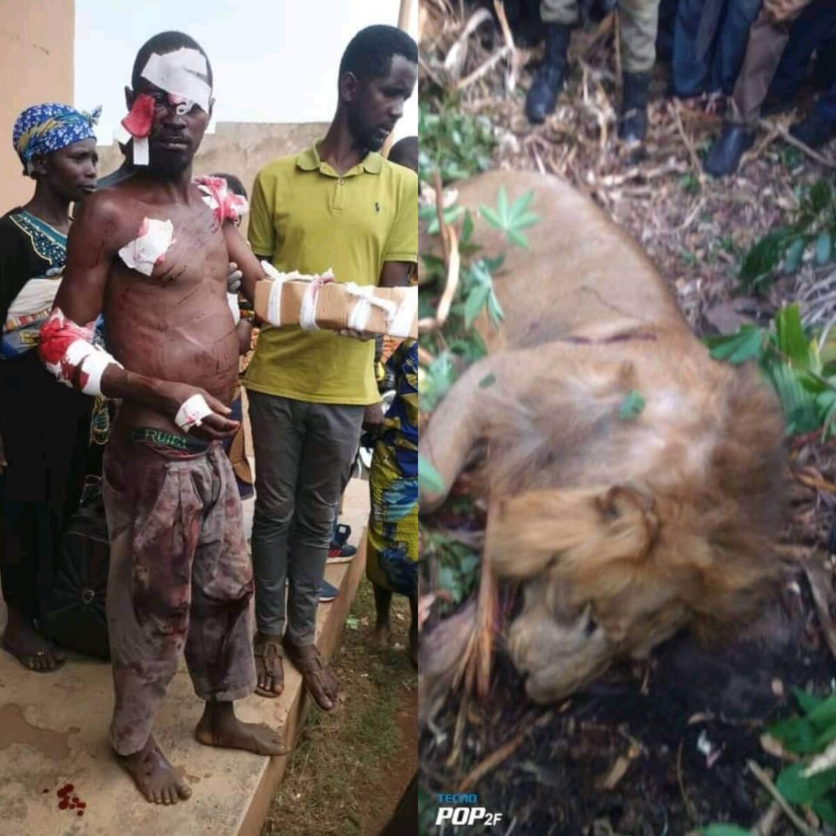 Your Energy Is Mysterious’ -Reactions As Man Single-Handedly Fights And Kills Lion In Fierce Fight [PHOTOS]