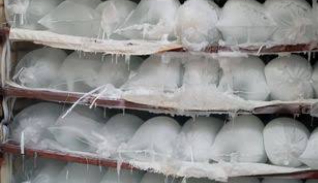 Ice block sellers make gigantic gross sales amid Ramadan, Kano heat, blackout