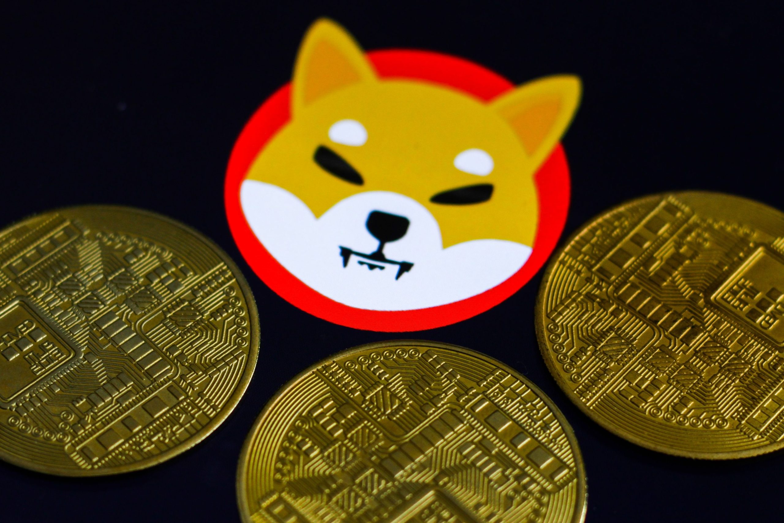 Shiba Inu, Solana fly as Robinhood expands its crypto choices