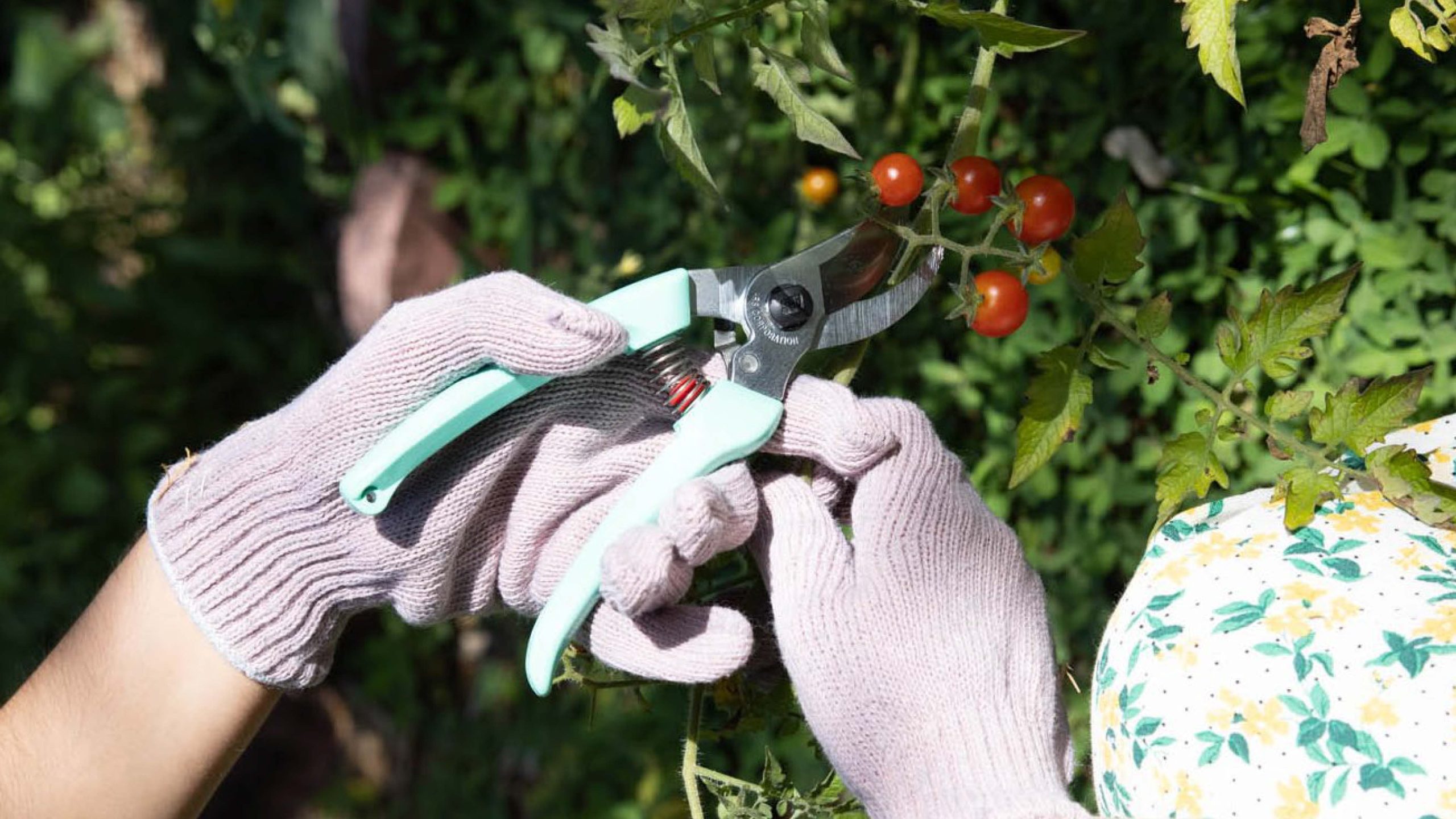 11 Gardening Items for Mother, Because She Doesn’t Need Any More Candles this Mother’s Day