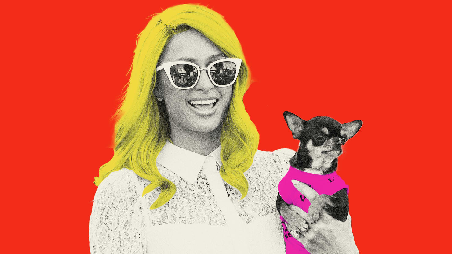 Paris Hilton Hasn’t Earned Her Large Hollywood Comeback