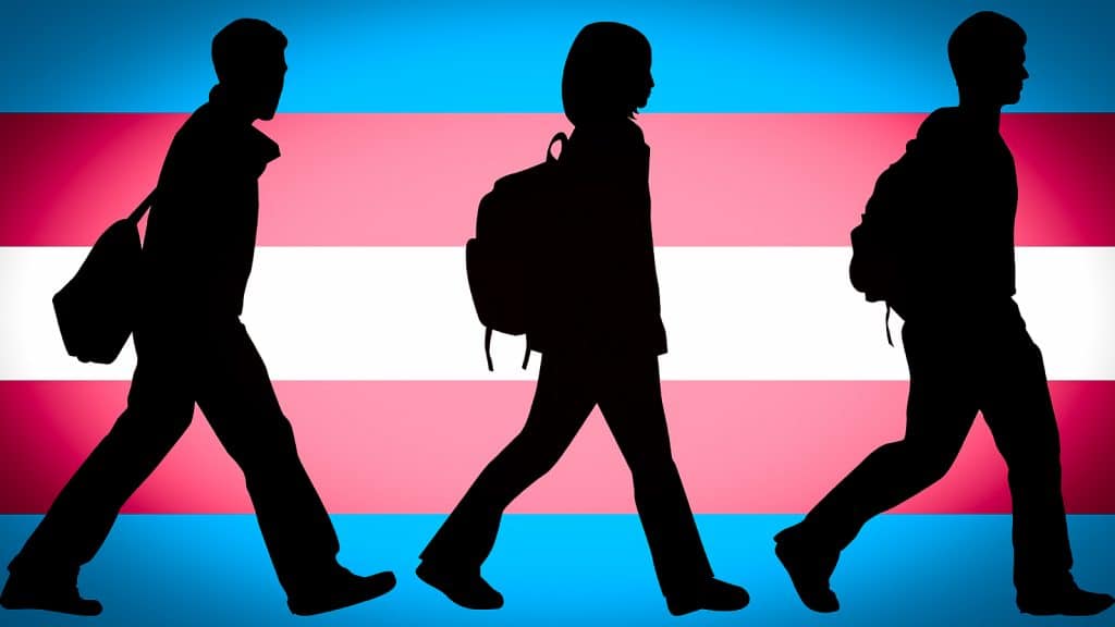 Media Denial of Transgender Social Contagion Continues to Hurt Younger Individuals