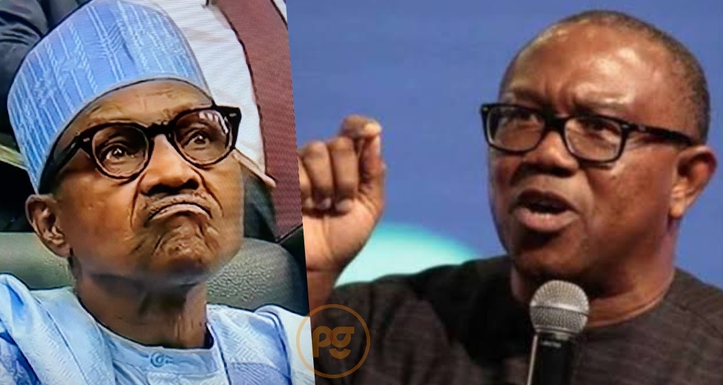 Nigerians held hostage below Buhari, Peter Obi is our messiah: Labour Social gathering