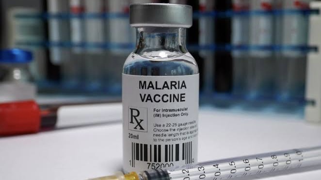 Malaria vaccines to be administered to infants solely: Well being minister