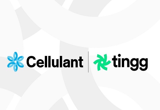 Cellulant Zambia onboards world retail model LC Waikiki to Tingg cost platform