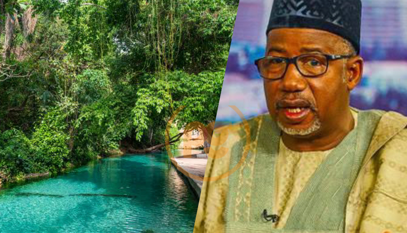 Gov. Bala Mohammed strikes to privatise extra Bauchi-owned corporations