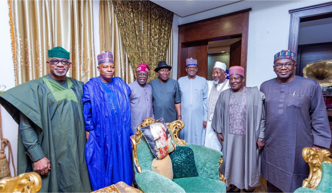 Tinubu visits Jonathan, seeks his blessing, assist for 2023