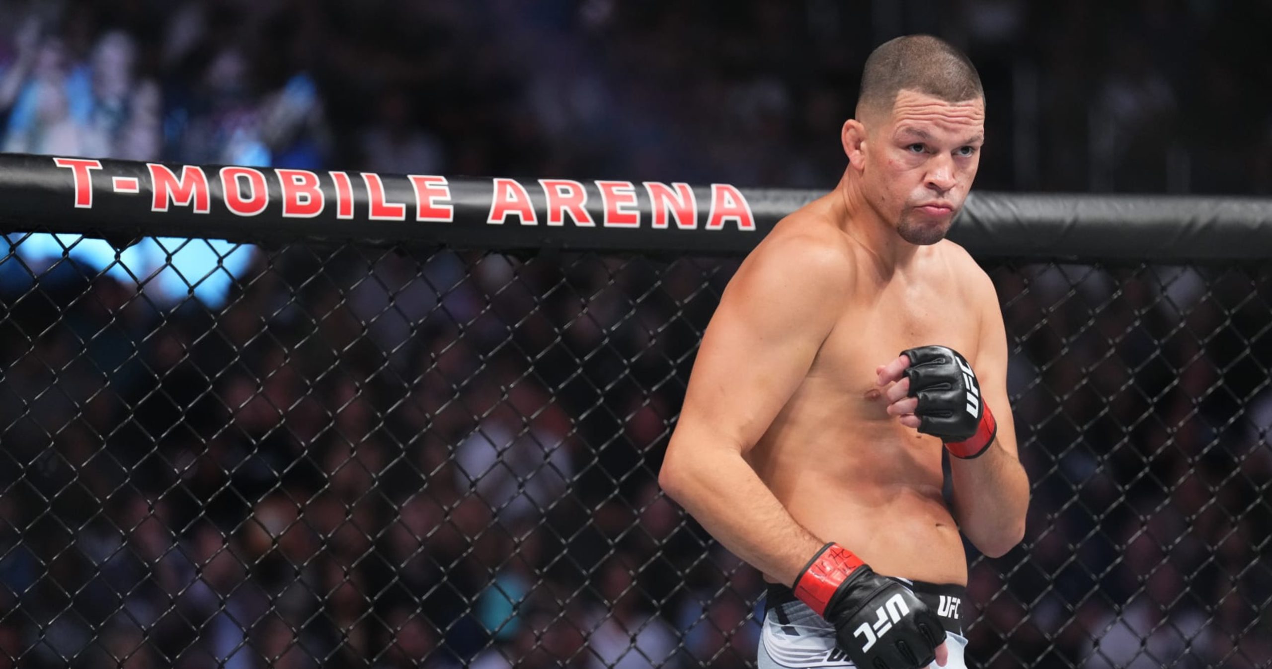 Nate Diaz Says He Desires to Conquer One other Sport, Finally Return to UFC