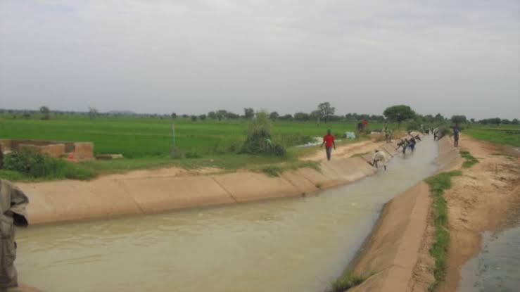 Minister directs closure of Tiga Dam bridge after flooding catastrophe