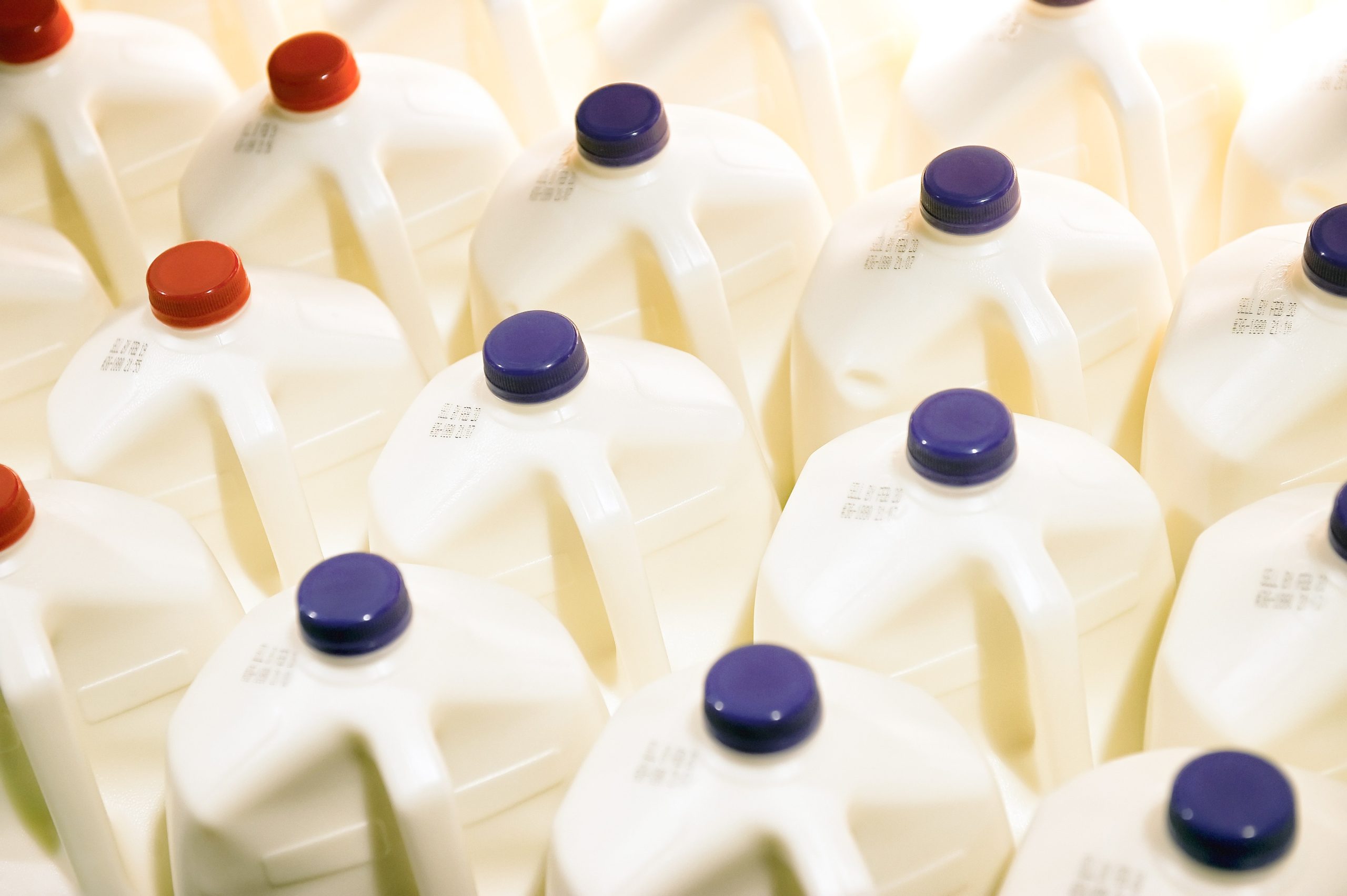 What Is the GOMAD Weight-reduction plan and Is It Protected to Drink That A lot Milk?