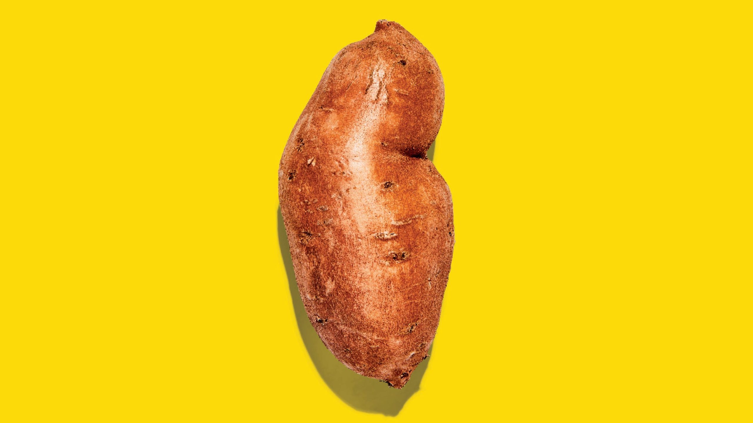 Yam vs. Candy Potato: What’s the Distinction?