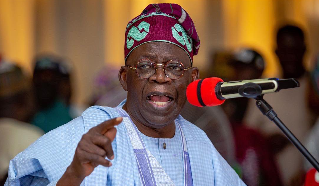 2023: Tinubu warns Nigerians towards voting ‘one other mistake’ into energy