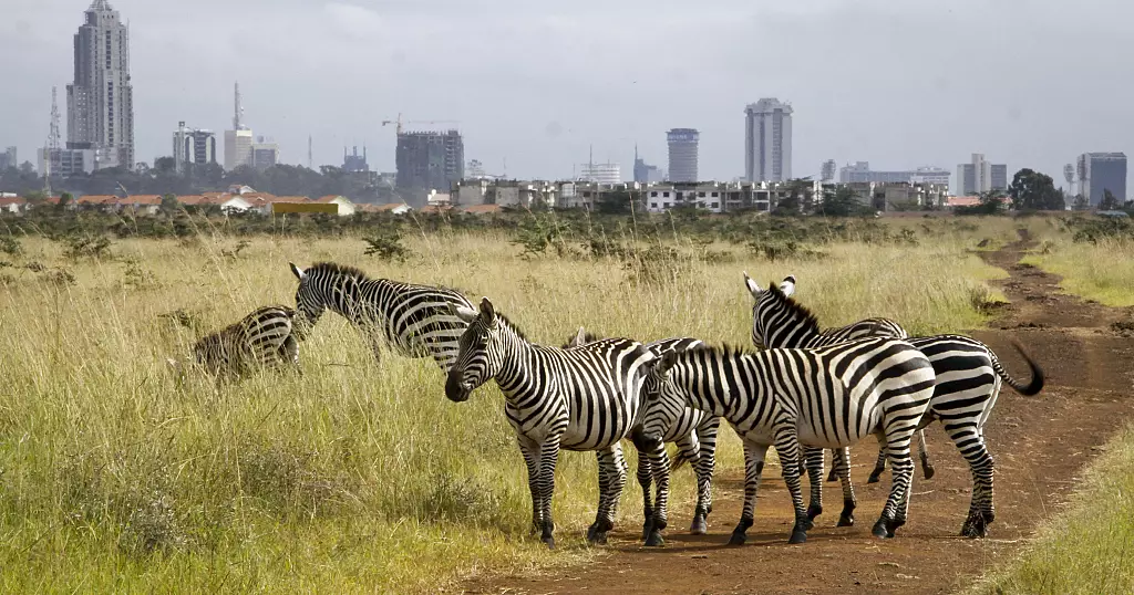 Cellular app allows Kenyans to develop into wildlife conservation actors