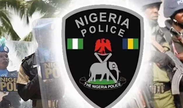 Niger police arrest 326 suspects in 14 months