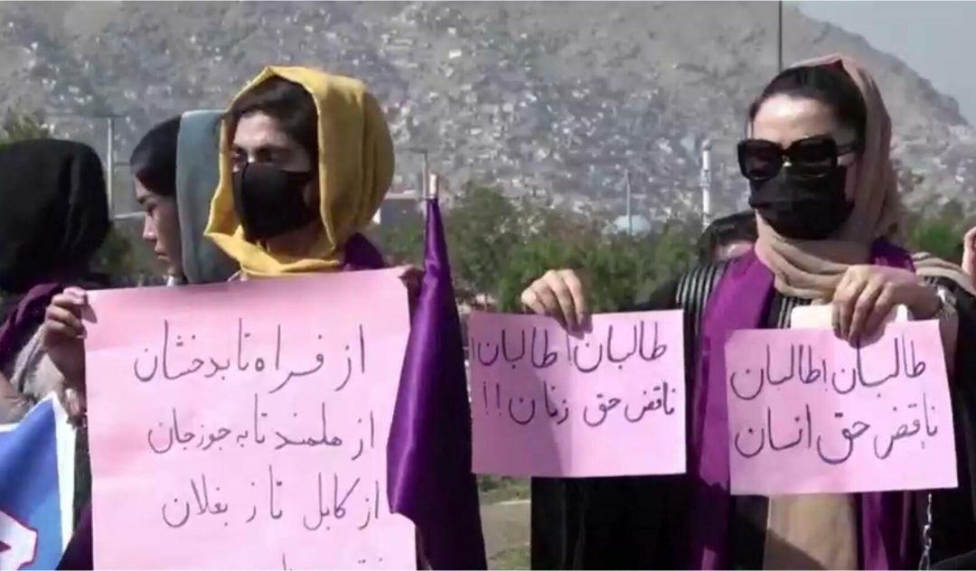 Schooling: Afghan ladies accuse Taliban of threatening protesters with suicide bombing￼