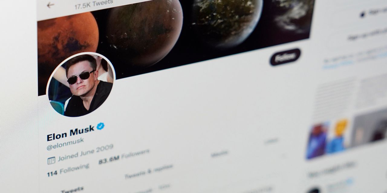 : Need that blue Twitter checkmark? Elon Musk could drive you to pay up