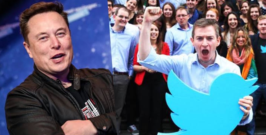 Elon Musk sacks Twitter employees in mass layoffs