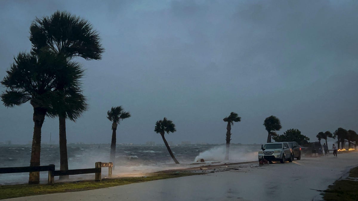 Hurricane Nicole Makes Landfall In Florida—Right here’s The place It’s Headed