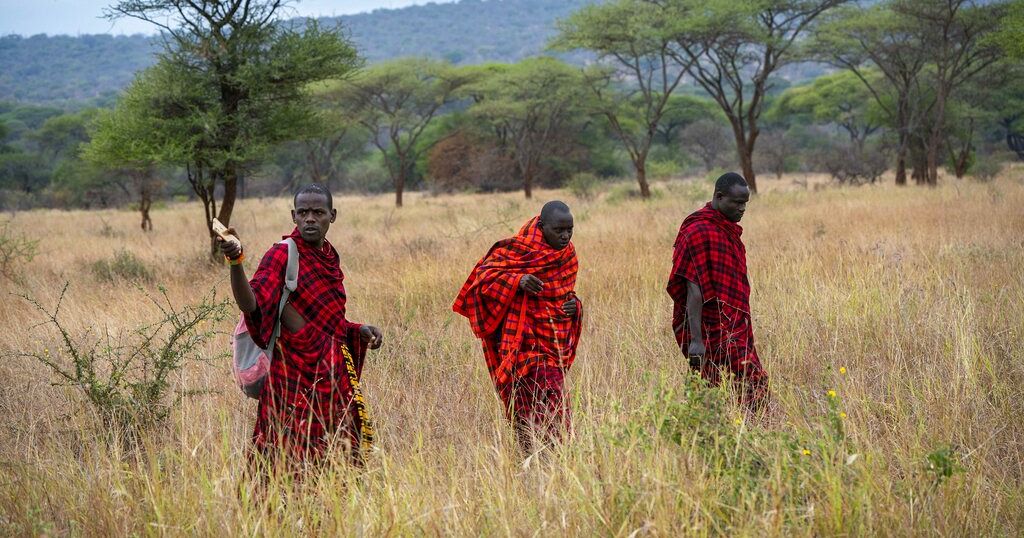 Tanzania frees 24 Maasais accused of killing policeman
