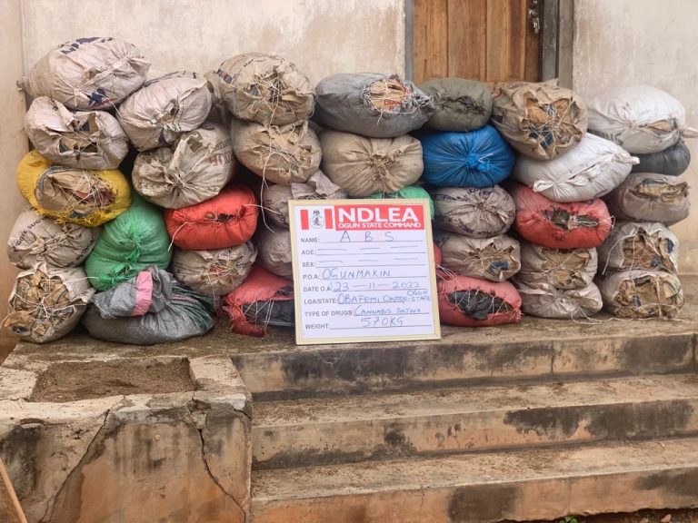 NDLEA seizes 5.8 tons of skunk, hashish in 5 states