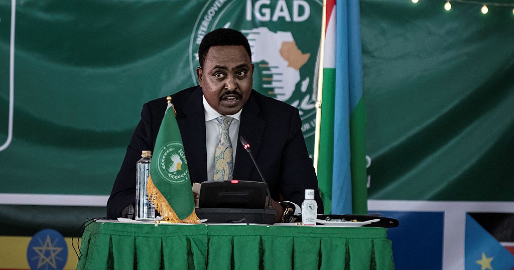 Seven east African nations signal IGAD settlement on free motion of individuals