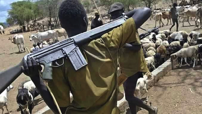 Stress in Abia neighborhood as armed herders allegedly invade folks’s farms