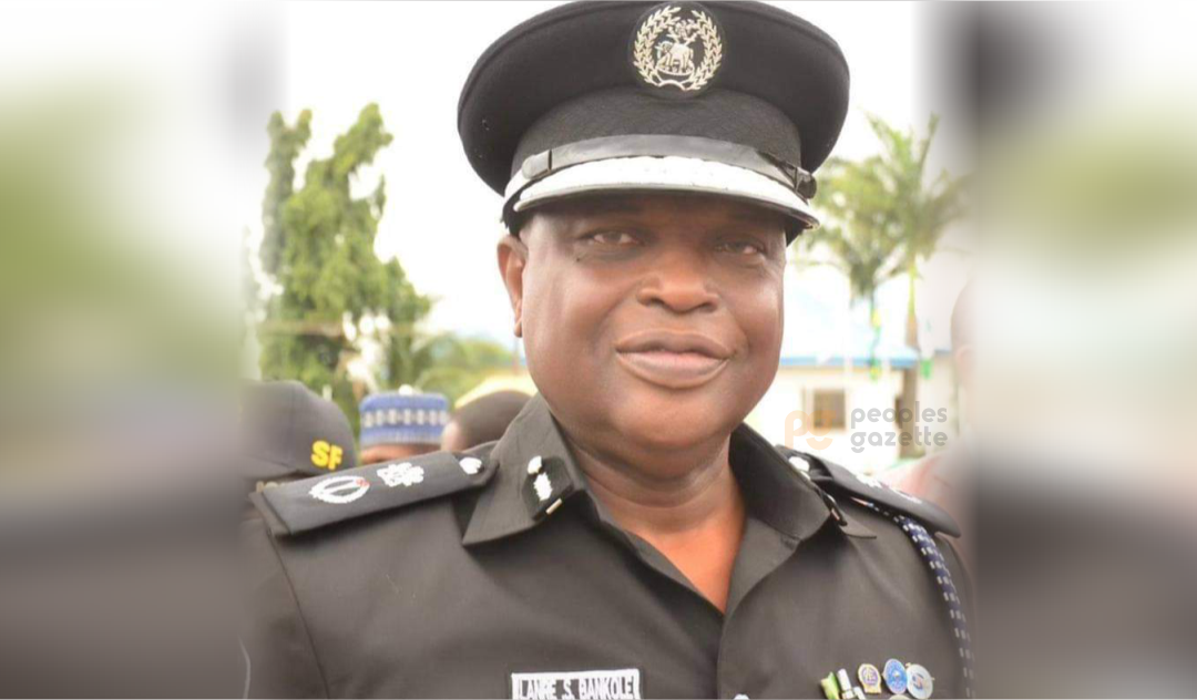 Police arrest man for theft, homicide in Ogun