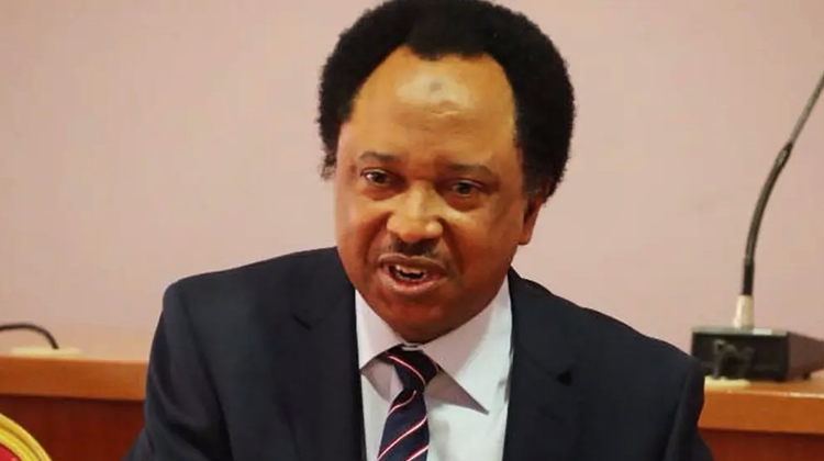 Shehu Sani condemns assaults on Southern Kaduna communities