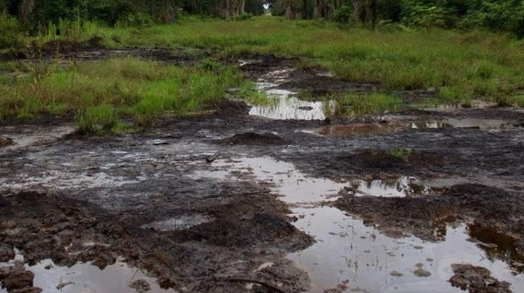 Oil spills: Shell to pay N’Delta farmers €15m compensation