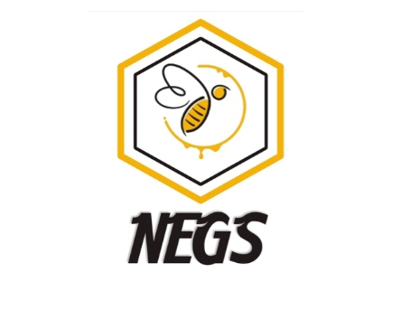 How Nigerian Startup, Negs Empire, Produces High quality Honey Utilizing Expertise, by Abbas Badmus