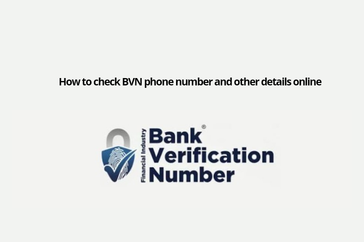 examine my BVN telephone quantity and different particulars on-line