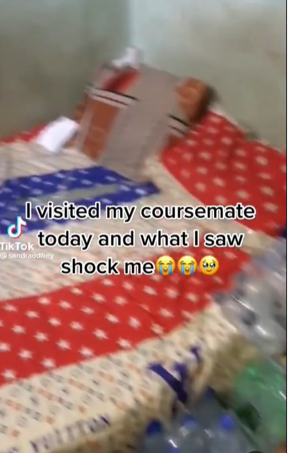 TikTok consumer shocked to see coursemate convert her hostel room to a grocery retailer (video)