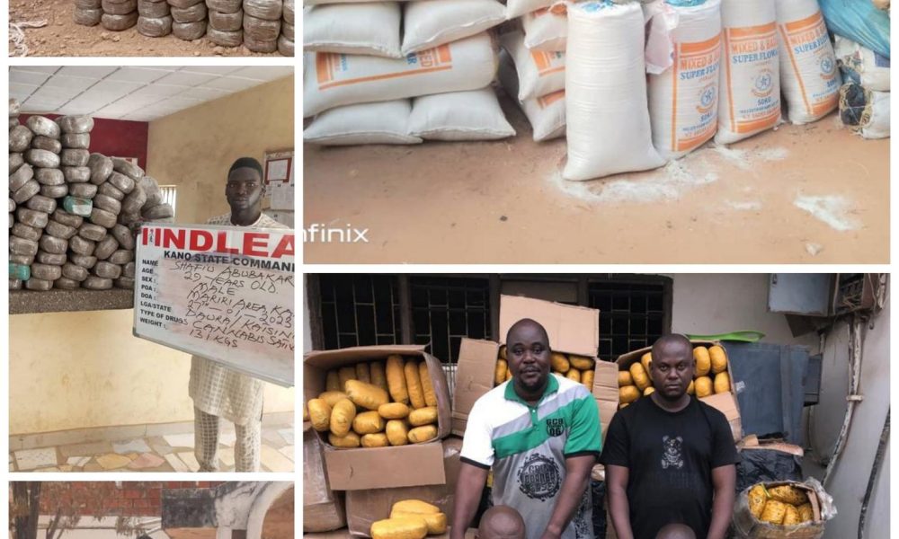 NDLEA Busts Trans-border Cartel, Arrests 5 Kingpins, Seizes Skunk, Meth In Compressors