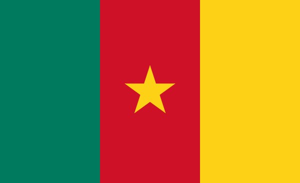 Cameroon: Cameroon Says Separatists Relaunch Assaults, IED Use After Dying of Self Proclaimed Basic