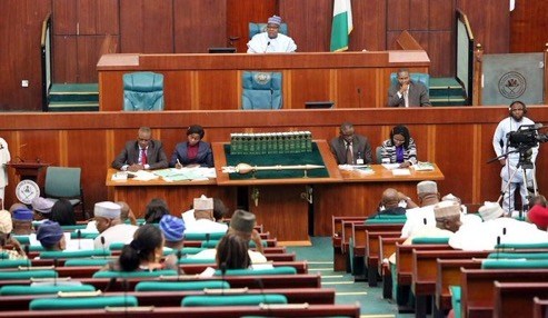 Reps Approve N1trn Borrowing, Dump N22.7trn Mortgage Request