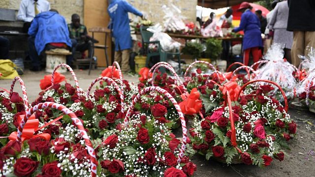 Now not a mattress of Roses for flower growers In Kenya attributable to excessive inflation