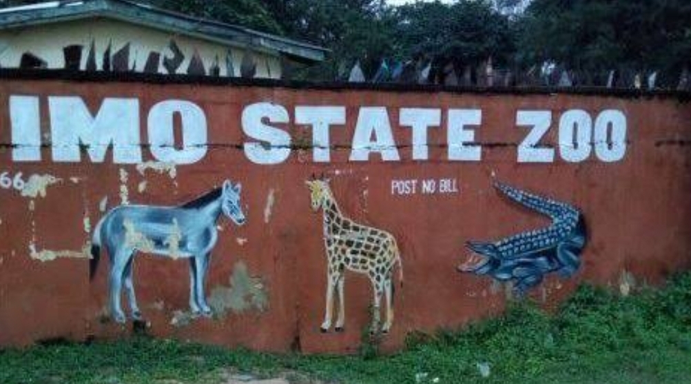 Imo State Zoo workers protest relocation of animals to Plateau, 10-month unpaid salaries