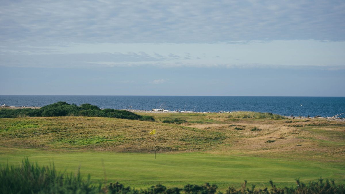 LinksDAO NFT Income May Make Historical past with Scottish Golf Course Buy