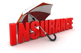 Insurance coverage Sector Information 12% Development In This autumn, 2022