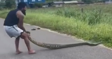 Tyrone Spong catches large anaconda with naked arms