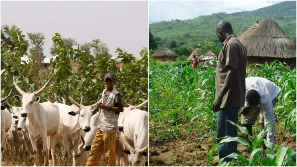 Many Killed In Benue Farmers-Herders Clashes