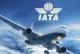 African Airways Report 124% Improve in Passenger Visitors, Says IATA