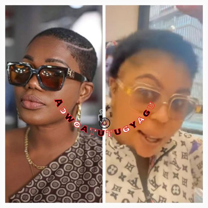 I Don’t See You As A Human Being As a result of You’re Shorter Than A Fullstop – Mzbel Brutalises Afia Schwar
