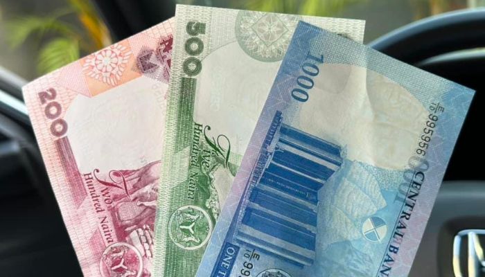 Naira loses 3.8% worth towards greenback in a single month