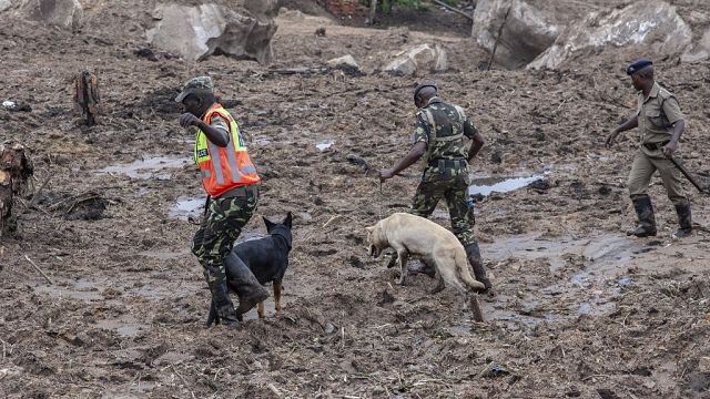 Malawi : sniffer canine added to look get together as demise toll hits 326