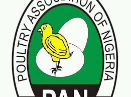 Poultry Farmers Misplaced N30bn Eggs to Naira Shortage – Affiliation